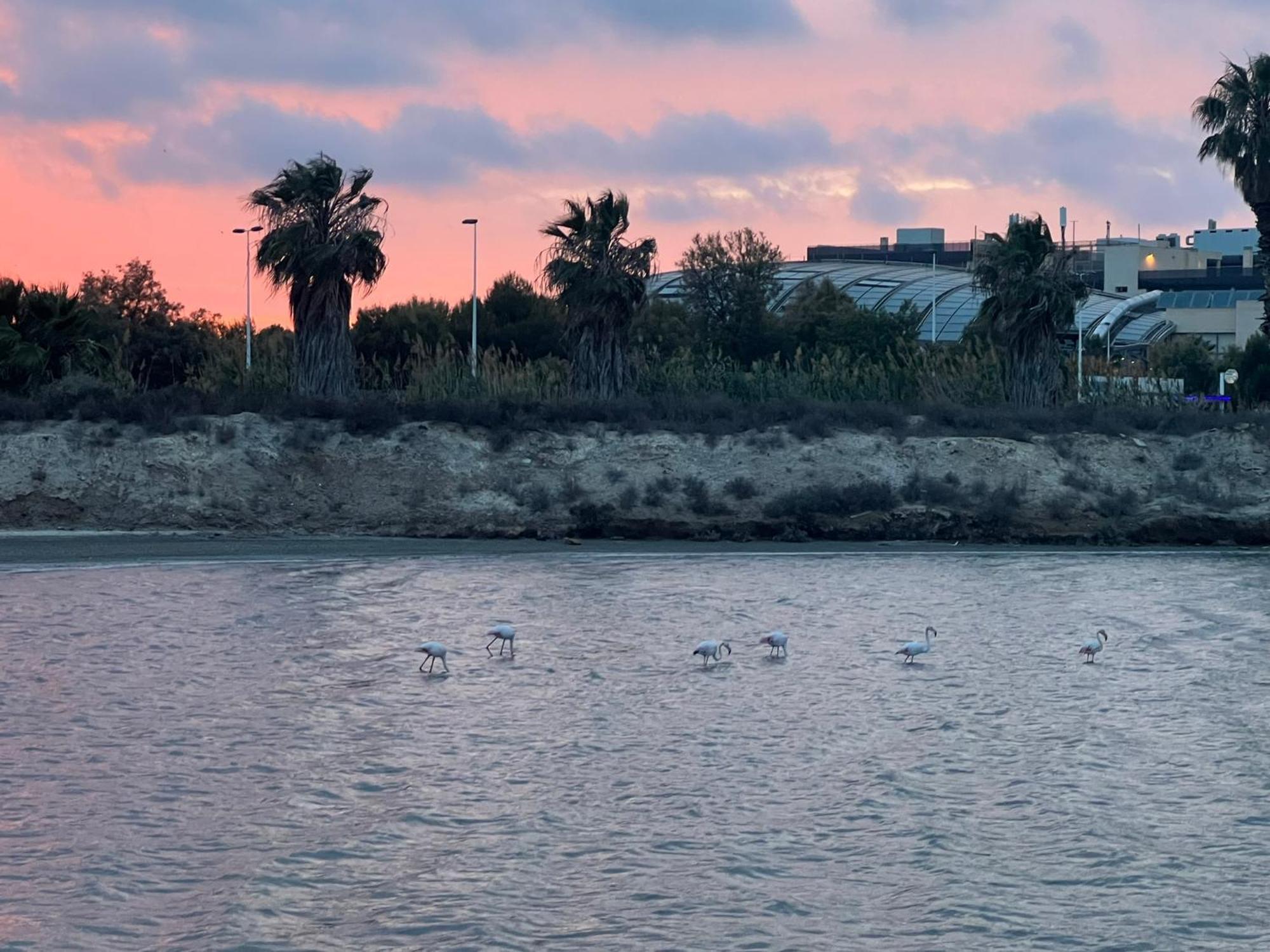 Mar Menor Paradise By Los Pinos Holidays San Pedro del Pinatar Dış mekan fotoğraf