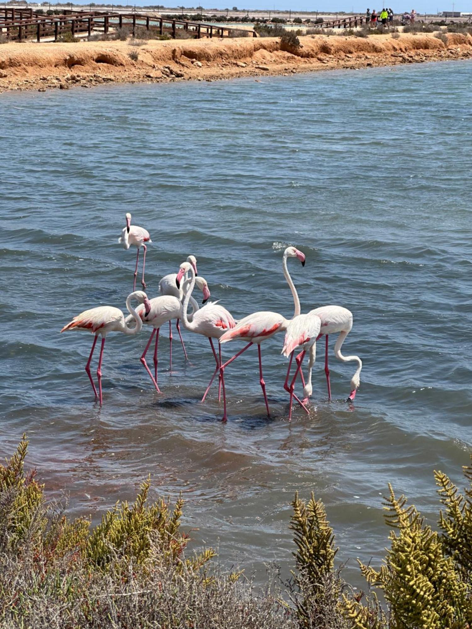 Mar Menor Paradise By Los Pinos Holidays San Pedro del Pinatar Dış mekan fotoğraf